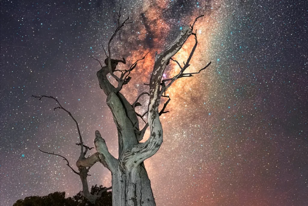 Turn it off! The fight to darken our night skies - Dark Sky Tourism